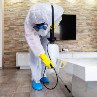 Professional Disinfection
